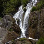 IMG_0469