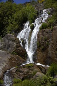 IMG_0469