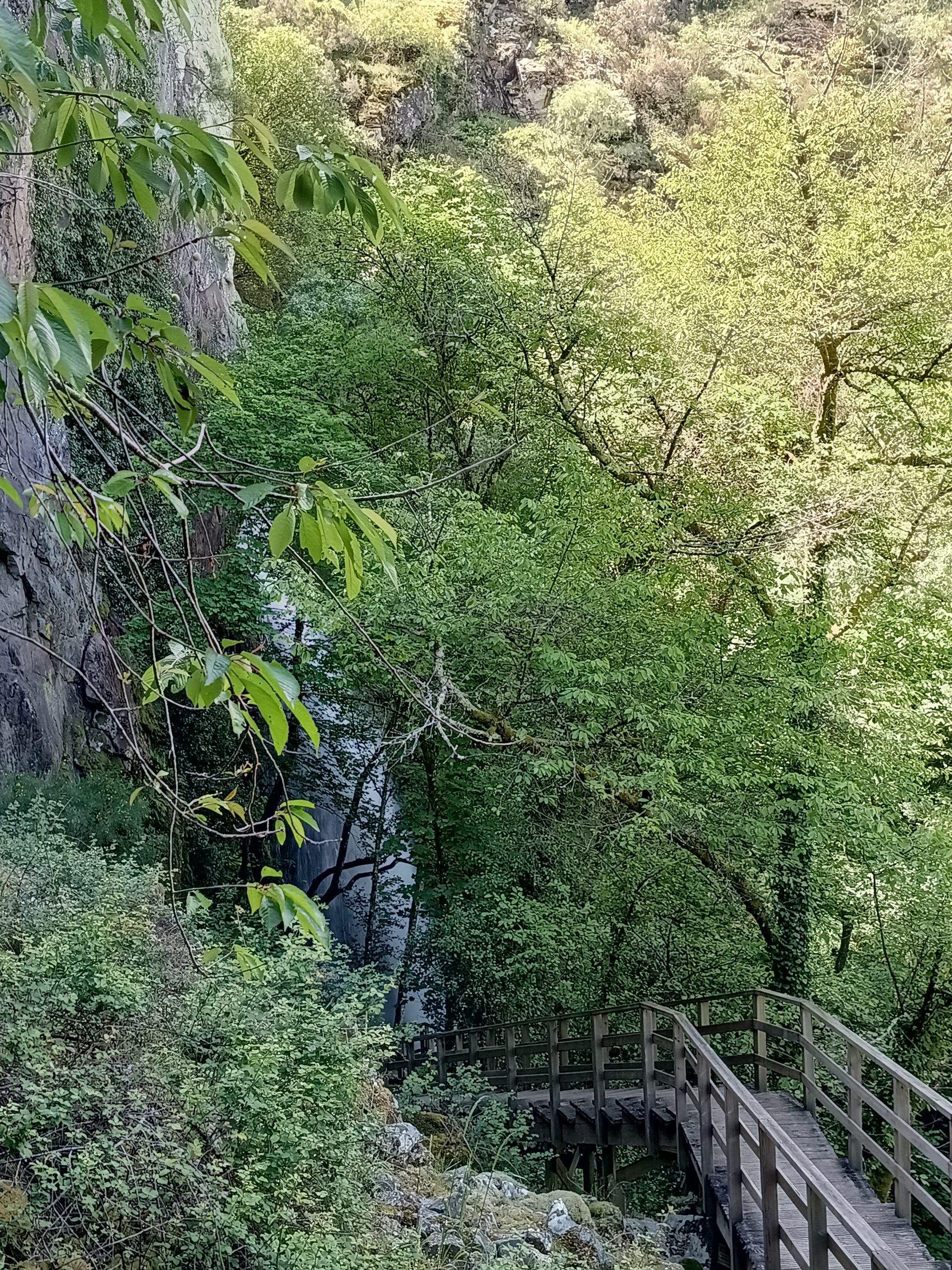 IMG_20250515_131116906_HDR