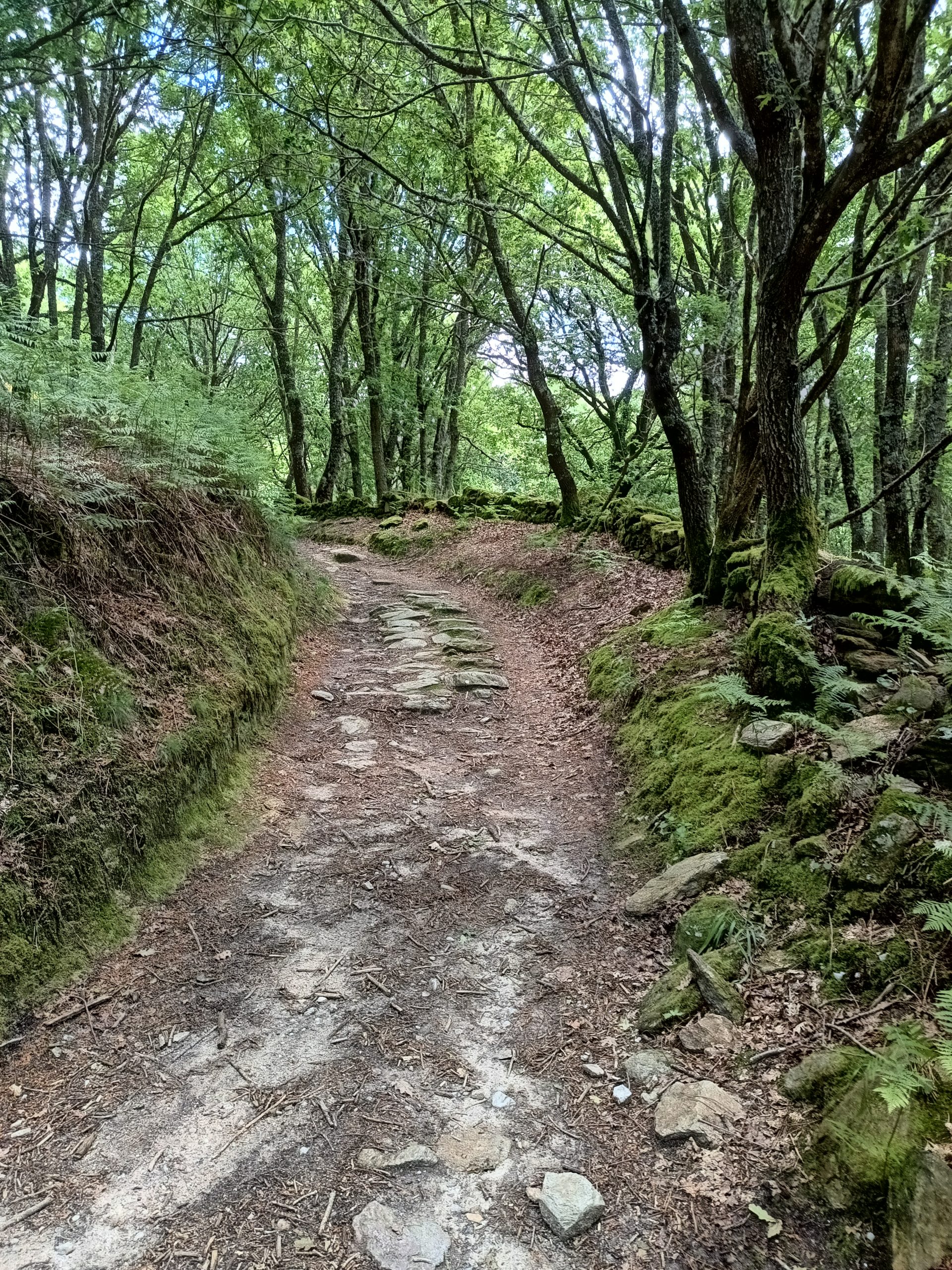 IMG_20250515_141527881_HDR