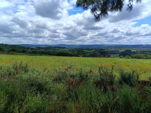 Galicie - Ribeira Sacra.