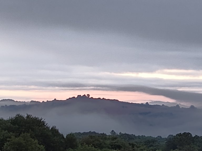 Uirzicht vanuit ons huis.