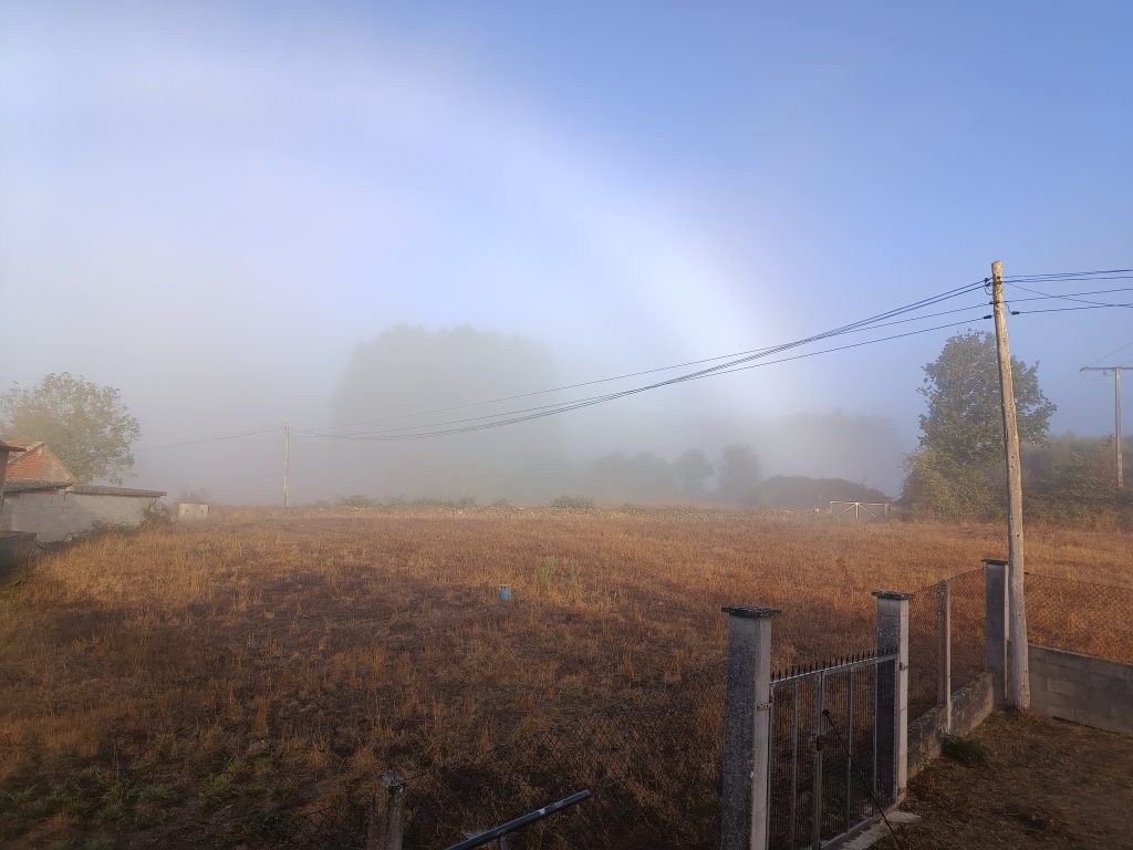 IMG_20250926_092446501