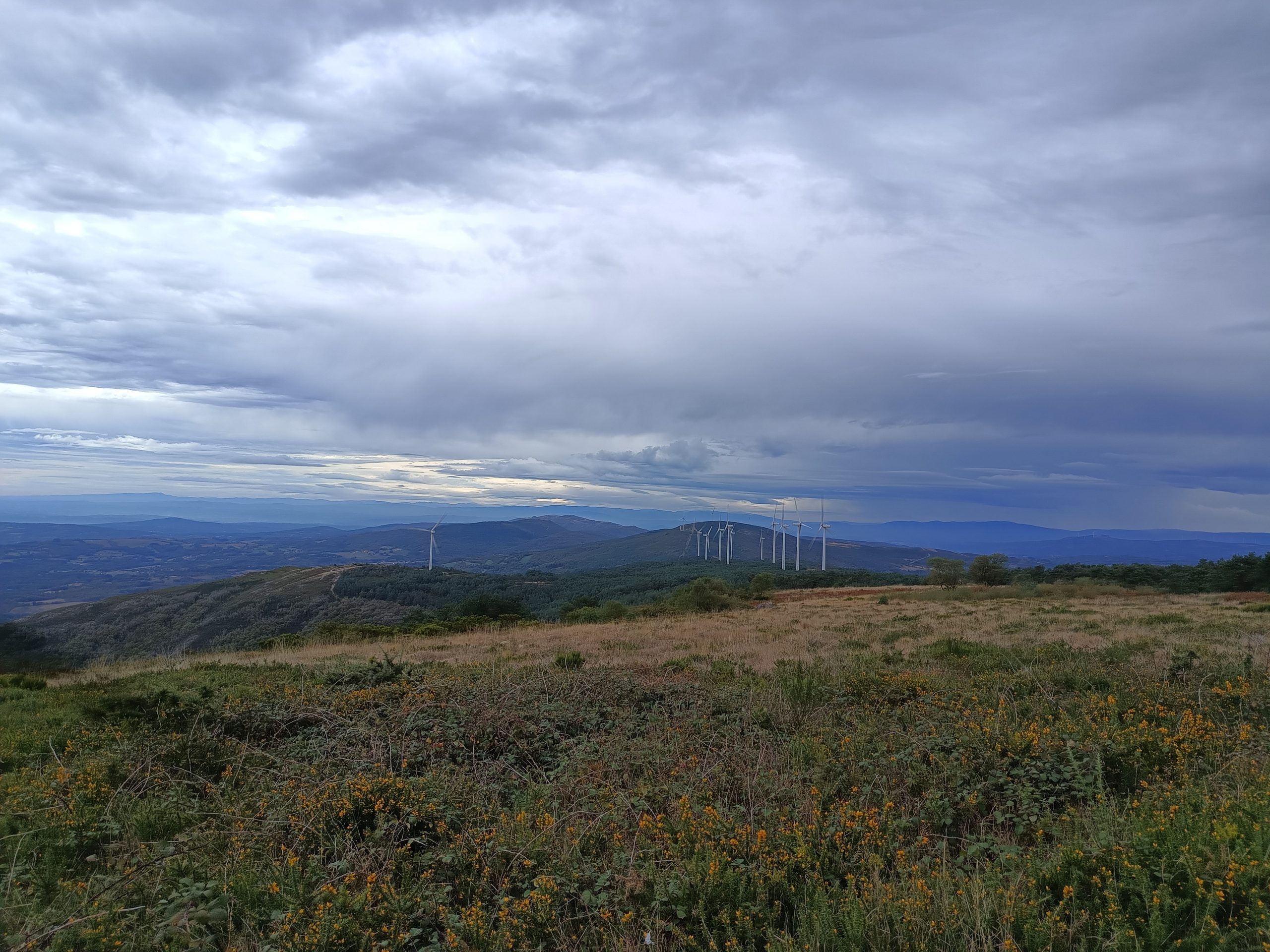 IMG_20250927_134227358