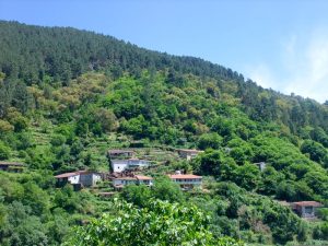 Ribeira Sarcra UNESCO