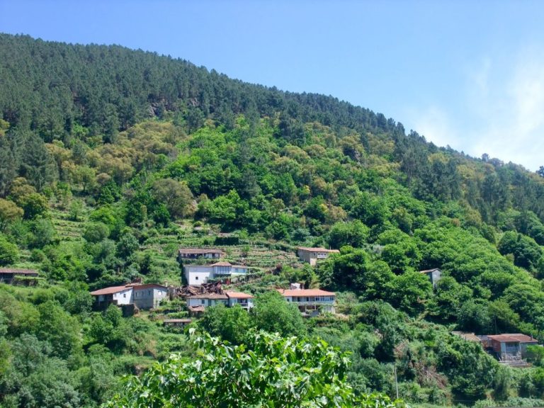 Ribeira Sarcra UNESCO