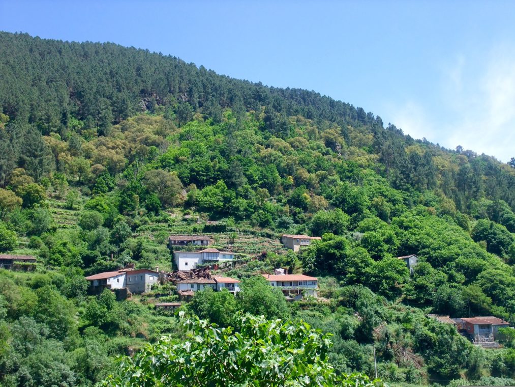 Ribeira Sarcra UNESCO