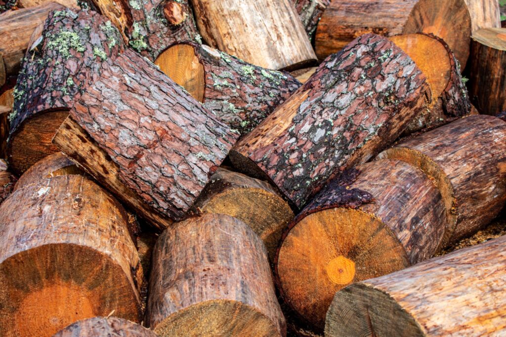 Burn wood