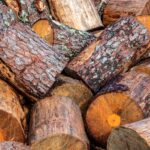 Burn wood