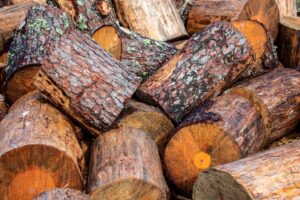 Burn wood