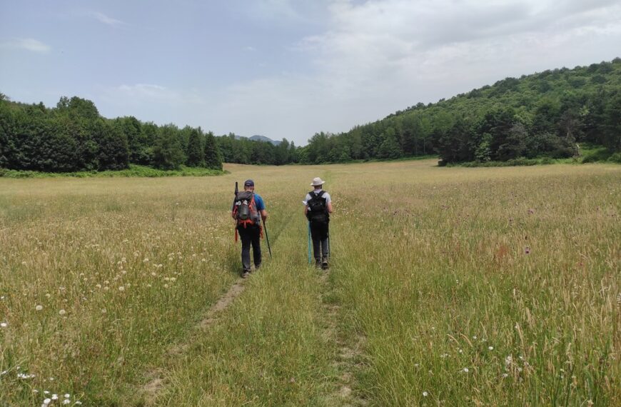 The Origin of the Camino de Santiago