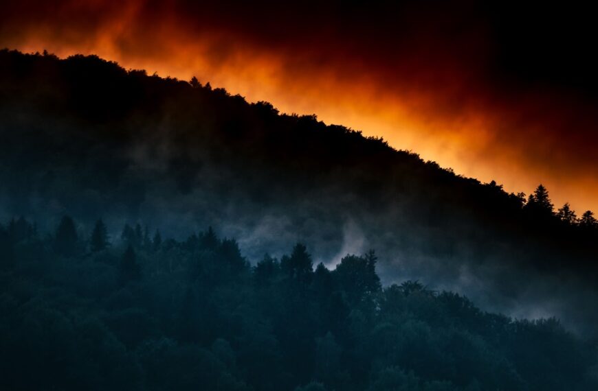 Wildfires in Galicia: What We’ve Seen So Far