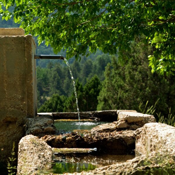 Why Galicians Fetch Water From the Fountain