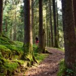 hiking forrest