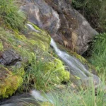 Fervenza de Brañas: One of Galicia’s Most Beautiful Waterfalls