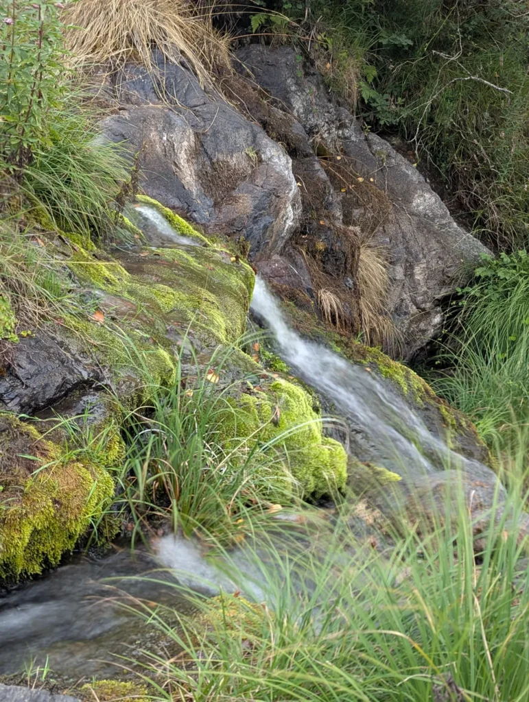 Fervenza de Brañas: One…