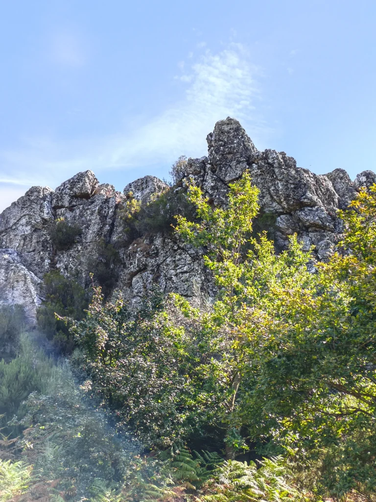 Pena de Núñez: A…