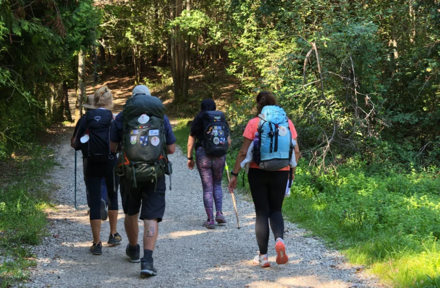 The Shortest Camino in Galicia