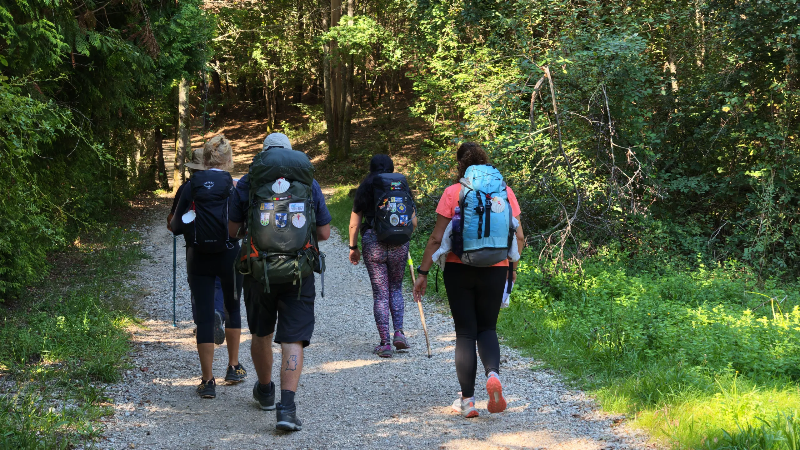 The Shortest Camino in Galicia